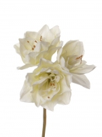 Amaryllis steek, x3 bloemen, 20cm